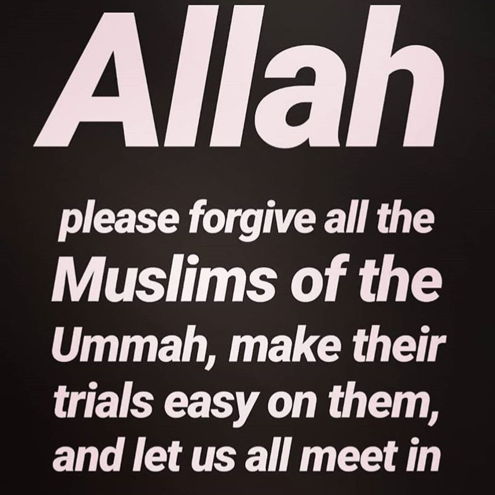 Meet your Posher, Rashida